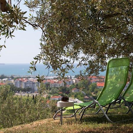 ポルトローシュ Istrian Casa Ladonia By Locap Groupヴィラ エクステリア 写真