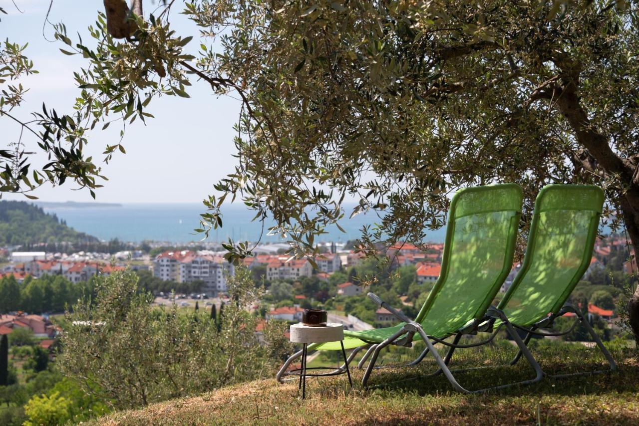 ポルトローシュ Istrian Casa Ladonia By Locap Groupヴィラ エクステリア 写真