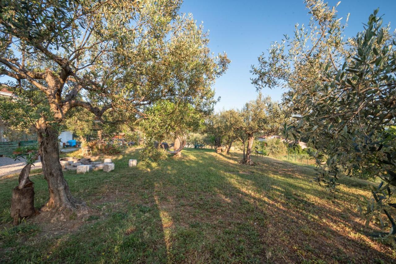 ポルトローシュ Istrian Casa Ladonia By Locap Groupヴィラ エクステリア 写真